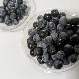 【先行予約】栃木県市貝町「おかえりの丘」フレッシュブルーベリー2kg ※離島への配送不可 ※2026年7月上旬頃より順次発送予定