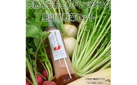完熟とちおとめドレッシングと里山旬野菜セット