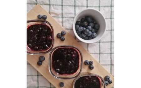 【先行予約】栃木県市貝町「おかえりの丘」フレッシュブルーベリー1kg ※離島への配送不可 ※2026年6月中旬頃より順次発送予定