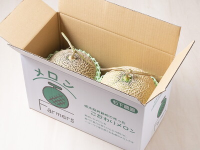 〈先行予約受付〉石下農園のアールスメロン〈赤肉・青肉〉 Lサイズ 各1玉（計2玉） ｜ 果物 フルーツ メロン 国産 アールスメロン ギフト 贈答 赤肉 青肉 ※離島への配送不可 ※2026年10月中旬頃～11月上旬頃に順次発送予定