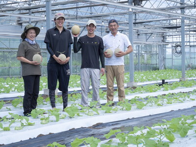 〈先行予約受付〉石下農園のアールスメロン〈赤肉・青肉〉 Lサイズ 各1玉（計2玉） ｜ 果物 フルーツ メロン 国産 アールスメロン ギフト 贈答 赤肉 青肉 ※離島への配送不可 ※2026年10月中旬頃～11月上旬頃に順次発送予定