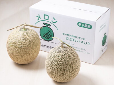 〈先行予約受付〉石下農園のアールスメロン〈赤肉・青肉〉 2Lサイズ 各1玉（計2玉） ｜ 果物 フルーツ メロン 国産 アールスメロン ギフト 贈答 赤肉 青肉 ※離島への配送不可 ※2026年10月中旬頃～11月上旬頃に順次発送予定