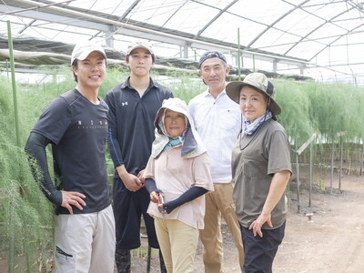 〈先行予約受付〉石下農園のアールスメロン〈赤肉・青肉〉 2Lサイズ 各1玉（計2玉） ｜ 果物 フルーツ メロン 国産 アールスメロン ギフト 贈答 赤肉 青肉 ※離島への配送不可 ※2026年10月中旬頃～11月上旬頃に順次発送予定