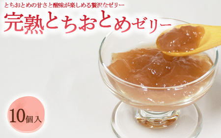 完熟とちおとめゼリー 1箱10個入【芳賀一笑】| 苺 いちご ゼリー なし フルーツ 果物 ギフト 贈答◇