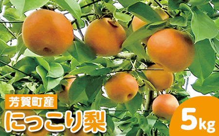 【先行予約】栃木県芳賀町産「にっこり梨」約5kg | 果物 フルーツ 梨 ※2026年10月上旬～10月下旬頃に順次発送予定 ※離島への配送不可