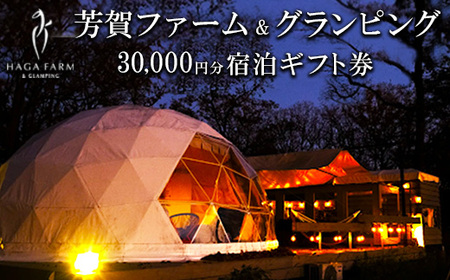 芳賀ファーム&グランピング 3万円分宿泊ギフト券 | サラブレッド牧場とグランピングの融合施設 宿泊 旅行 アウトドア 体験 春休み GW 夏休み 家族旅行 バーベキュー BBQ 栃木県 芳賀町