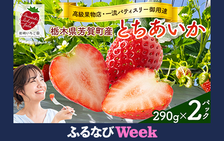 【ふるなびWEEK対象】【先行予約】有名パティスリー御用達!とちあいか290g(7~12粒)×2トレイ 栃木県芳賀町産 いちご | 果物 フルーツ いちご 苺 イチゴ とちあいか ブランド 期間限定 季節限定 旬 国産※2026年1月上旬~4月下旬頃に順次発送予定 FN-Limited-PR