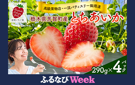 【ふるなびWEEK対象】【先行予約】有名パティスリー御用達!とちあいか290g(7~12粒)×4トレイ 栃木県芳賀町産 いちご | 果物 フルーツ いちご 苺 イチゴ とちあいか ブランド 期間限定 季節限定 旬 国産※2026年1月上旬~4月下旬頃に順次発送予定 FN-Limited-PR