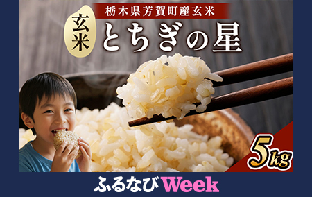 【ふるなびWEEK対象】＼ご好評につき再販！／特A受賞 令和7年度産 とちぎの星 玄米5kg 栃木県芳賀町産 | 米 お米 玄米 ブランド米 特A評価 令和7年産 新米 とちぎの星 国産 単一米 数量限定　FN-Limited-PR