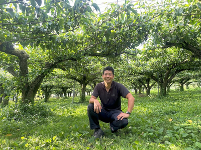 【先行予約】岸田農園の完熟梨 幸水【3kg,5-12玉入り】 | 梨 なし 果物 フルーツ 完熟 ジューシー 秋 旬 産地直送 期間限定 季節限定 季節商品 送料無料 国産 栃木県 芳賀町 ※2026年8月上旬～8月下旬頃に順次発送予定