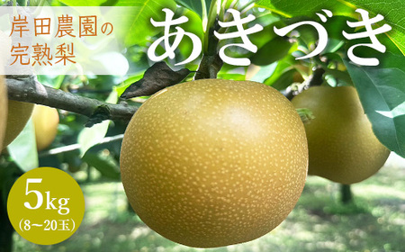【先行予約】岸田農園の完熟梨 あきづき【5kg,8-20玉入り】 | 梨 なし 秋月 果物 フルーツ 完熟 ジューシー 秋 旬 産地直送 期間限定 季節限定 季節商品 送料無料 国産 栃木県 芳賀町 ※2026年9月中旬～9月下旬頃に順次発送予定