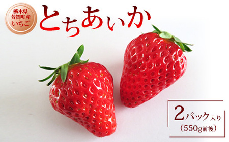 栃木県産いちご とちあいか 2パック入り(550g前後)|果物 フルーツ 苺 イチゴ 朝採れ 新鮮 産地直送 栃木県 芳賀町 ※2025年12月下旬頃~2026年4月下旬頃に順次発送予定