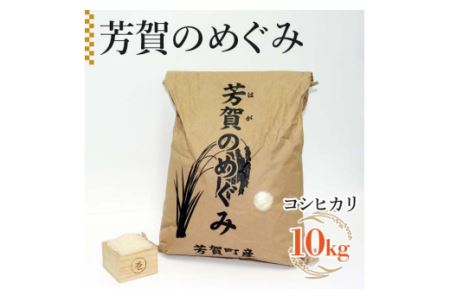 令和6年産「芳賀のめぐみ」コシヒカリ　10kg 袋入り　栃木県芳賀町産 ｜ 米 お米 ご飯 国産 送料無料 ※離島への配送不可