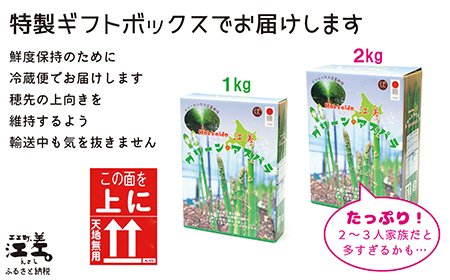 ＼春アスパラ 先行予約 2026年4月～順次出荷予定／北海道江差町産 アスパラガス【L～2Lサイズ】 1kg　約20本　太い！ 甘い！ ジューシー！　朝採り　農家直送　新鮮　鮮度保持　北海道　旬野菜　グリーンアスパラ　アスパラ　ギフト　贈答