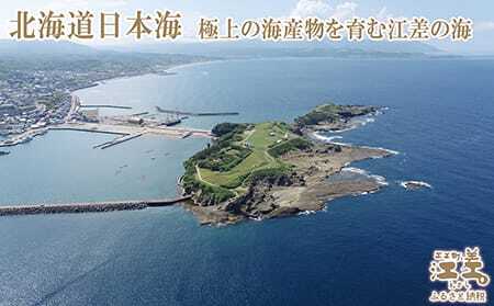 『檜山海参』 2本 北海道産潜水手採り最高級なまこ　中華料理の最高級食材　北海道檜山産フリーズドライなまこ　真空凍結寒干刺参　フリーズドライ製法でナマコ本来の成分と風味を保持　水戻りも早い　北海道産干しナマコ　国産ナマコ　海鼠