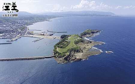 北海道江差町かもめ島応援寄附　江差のシンボル「かもめ島」の環境保全・景観保護・にぎわい創出支援【返礼品なし】