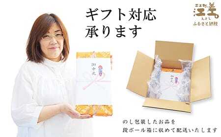 五勝手屋本舗『丸缶羊羹』10本セット 金時豆のようかん 保存料不使用 五勝手屋羊羹の老舗 和菓子 銘菓 名物 贈答用 ギフト お中元 お歳暮 お祝い のし 熨斗