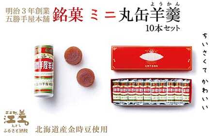 五勝手屋本舗『ミニ丸缶羊羹』10本セット　金時豆のようかん　保存料不使用　五勝手屋羊羹の老舗　和菓子　銘菓　名物　贈答用　ギフト