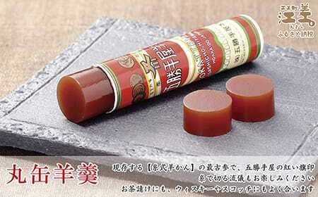 五勝手屋本舗『ミニ丸缶羊羹』10本セット　金時豆のようかん　保存料不使用　五勝手屋羊羹の老舗　和菓子　銘菓　名物　贈答用　ギフト