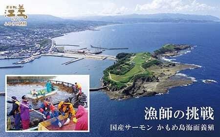 北海道産 スモークサーモン姿切スライス 250g（50g×5P）　王子サーモン　北海道江差産トラウトサーモン　純国産ブランドサーモン『江さしっ子 繁虎』　燻製　個包装　のし対応可　贈答用　ギフト　お中元　お歳暮　お祝い