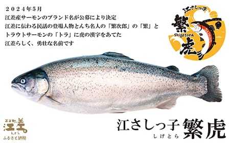 北海道産 スモークサーモン姿切スライス 250g（50g×5P）　王子サーモン　北海道江差産トラウトサーモン　純国産ブランドサーモン『江さしっ子 繁虎』　燻製　個包装　のし対応可　贈答用　ギフト　お中元　お歳暮　お祝い