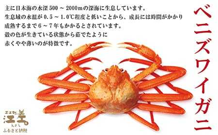 【年内配送受付12/10まで】『北海道北前蟹』脚むき身（ポーション）500g　北海道日本海産紅ずわいがに　カニかご漁師直販！厳格な鮮度管理で甘くてジューシーな本場の味をお届け　むき身なのではずれなし！　新鮮生冷　かにしゃぶ　しゃぶしゃぶ　かに鍋　国産　かに足　かに脚　北海道産べにずわいがに　ギフト　贈答用