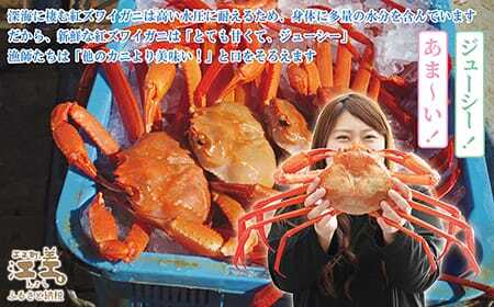 【年内配送受付12/10まで】『北海道北前蟹』脚むき身（ポーション）500g　北海道日本海産紅ずわいがに　カニかご漁師直販！厳格な鮮度管理で甘くてジューシーな本場の味をお届け　むき身なのではずれなし！　新鮮生冷　かにしゃぶ　しゃぶしゃぶ　かに鍋　国産　かに足　かに脚　北海道産べにずわいがに　ギフト　贈答用