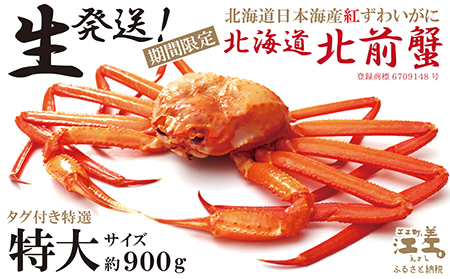 ＼早期予約・2026年3～4月限定出荷／生発送！【特大】『北海道北前蟹』タグ付き特選 約900g（冷蔵）　年にひと月だけの期間限定「生」出荷　北海道日本海産紅ずわいがに　カニかご漁師直販　厳格な鮮度管理　新鮮　甘くてジューシー　活カニ　生蟹　かに刺し　焼き蟹　蒸し蟹　かにみそ　かにしゃぶ　かに鍋　国産ベニズワイ