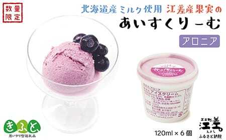 北海道産ミルク使用　江差産果実のアイスクリーム　アロニア【思いやり型返礼品】120ml×6個　「とろけるくちどけ　あふれるミルク感」