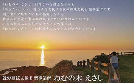 北海道産ミルク使用　江差産果実のアイスクリーム　アロニア【思いやり型返礼品】120ml×6個　「とろけるくちどけ　あふれるミルク感」