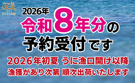 【ふるなびWEEK対象】＼2026年先行予約／北海道 江差前浜産 生うに 100g【天然・無添加・みょうばん不使用】令和8年　江差産キタムラサキウニ　日本海熊石産海洋深層水　塩水ウニ　素材を生かした自然の味　国産うに　雲丹　100グラムパック個包装 FN-Limited-WE