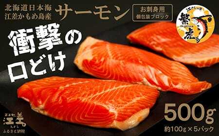 ＼配送月指定可／北海道産 サーモン お刺身用ブロック 500g（100g×5P）　日本海 かもめ島海面養殖　純国産 ブランドサーモン『江さしっ子 繁虎』　衝撃の口どけ　とろける脂　生食可　冷凍　小分け　個包装　トラウトサーモン　刺身　サーモンステーキ　カルパッチョ　海鮮　鮭　さけ　シャケ　しゃけ　さーもん
