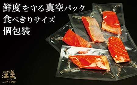 ＼配送月指定可／北海道産 サーモン お刺身用ブロック 1kg（100g×10P）　日本海 かもめ島海面養殖　純国産 ブランドサーモン『江さしっ子 繁虎』　衝撃の口どけ　とろける脂　生食可　冷凍　小分け　個包装 　トラウトサーモン　刺身　サーモンステーキ　カルパッチョ　海鮮　鮭　さけ　シャケ　しゃけ　さーもん