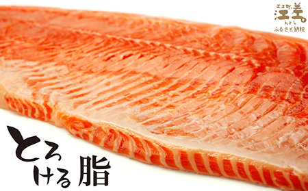 ＼配送月指定可／北海道産 サーモン フィレ 生食用 700g以上 皮なし・骨取り済 半身分　1枚でお刺身10人前分くらい　日本海 かもめ島海面養殖　純国産 ブランドサーモン『江さしっ子 繁虎』　衝撃の口どけ　とろける脂　生食可　冷凍　トラウトサーモン　刺身　サーモンステーキ　カルパッチョ　海鮮　鮭　さけ　シャケ　しゃけ　さーもん