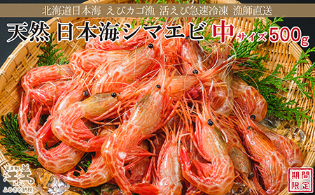 【期間限定＼漁があり次第、順次出荷中／】北海道産 違いが分かる天然日本海シマエビ 中サイズ 500g　色鮮やかで香りよし 濃厚な甘み 食べれば分かる格別の味！　国産　江差近海産　天然もの　エビかご漁師直送　最良品厳選　生食可　お刺身　唐揚げ　海老