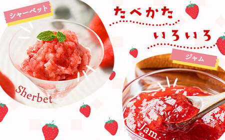 【訳あり】冷凍いちご とちあいか 3kg（500g×6）