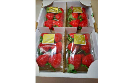 【先行受付】とちあいか 約270g×4パック ｜ いちご ※2026年1月中旬～3月下旬頃に順次発送予定