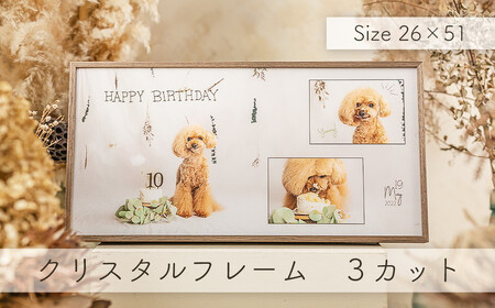 ポートレート撮影 （クリスタルフレーム3カット） ｜ 撮影