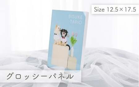 ポートレート撮影 （グロッシーパネル小付き） ｜ 撮影 7,700円