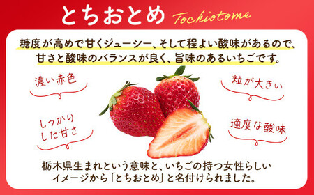 とちおとめ 320g×2パック 4Lサイズ ｜いちご※2026年1月中旬頃より順次発送予定