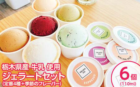 栃木県産牛乳使用 ジェラートセット（定番4種＋季節のフレーバー）110ml×6個 ｜ アイス