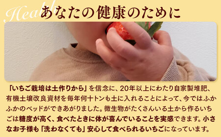 栃木県産 どっさりとちおとめ【750g】｜いちご※2025年12月中旬頃より順次発送予定 ※離島への配送不可