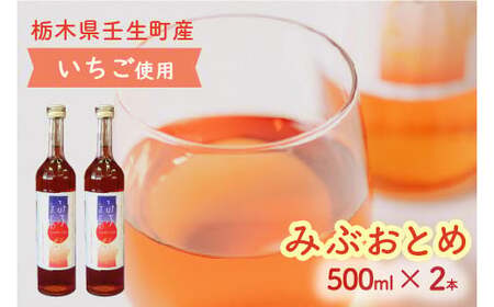 みぶおとめ 500ｍL 2本 ※2024年8月頃より順次発送予定