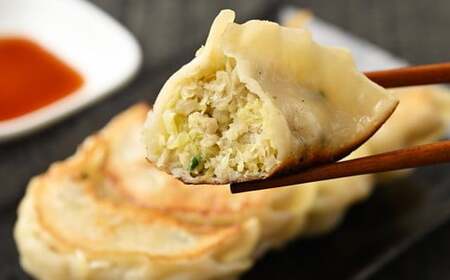 麺処暁商店　名物ラーメン２人前・チャーシューまるごと１本・ぎょうざセット