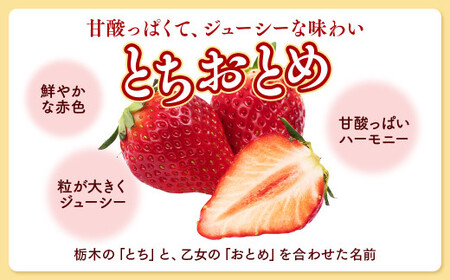 栃木県産 こだわり とちおとめ【300g以上×2パック】｜いちご ※2025年12月中旬頃より順次発送予定