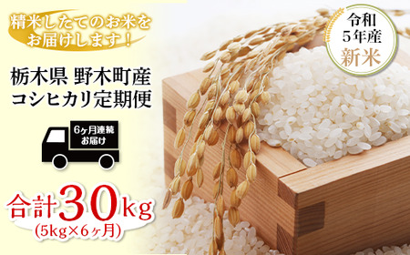 K10 こしひかり 5kg 6ヶ月 連続 お届け 定期便 計 30kg 栃木県産 精米 つきたて