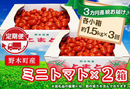 ミニトマト 定期便 3kg × 3回 【3カ月連続お届け】T09