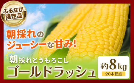 【ふるなびWEEK対象】【先行予約】とうもろこし約8kg老沼 利治《2026年6月中旬-7月中旬頃出荷》ゴールドラッシュFN-Limited-PR