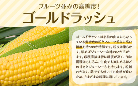 【ふるなびWEEK対象】【先行予約】とうもろこし約8kg老沼 利治《2026年6月中旬-7月中旬頃出荷》ゴールドラッシュFN-Limited-PR