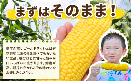 【ふるなびWEEK対象】【先行予約】とうもろこし約8kg老沼 利治《2026年6月中旬-7月中旬頃出荷》ゴールドラッシュFN-Limited-PR